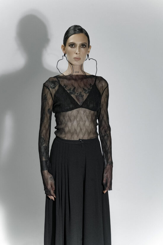 Sheer Long Sleeve Blouse